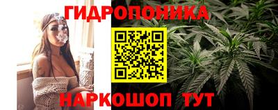 МДМА Можга