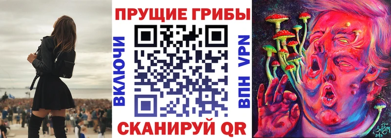 цена   Видное  Псилоцибиновые грибы GOLDEN TEACHER 