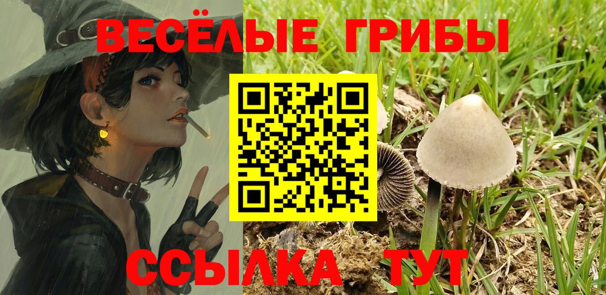 Видное  Галлюциногенные грибы ЛСД  Вход с VPN 